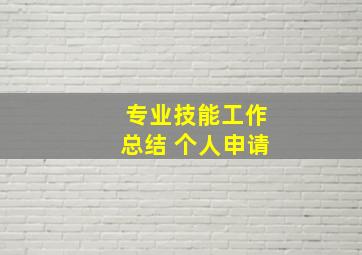 专业技能工作总结 个人申请